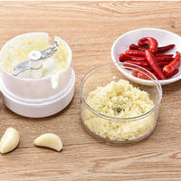 Mini Knoflookpers Voedselhakker Container voor Ui Chili Fruit Vlees Pinda Rasp Schilmesje Grinder Gereedschap Gadgets