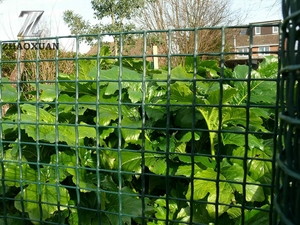 Clôture de jardin en PVC <span class=keywords><strong>pour</strong></span> chien, jouet artisanal, g, fil torsadé, couleur verte, fil de fer, vente en gros - Product Image 5