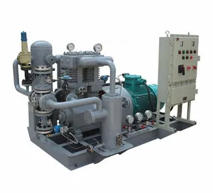 Hot Sale Natural Gas Piston Compressor for Filling Station Explosion Proof Motor Variable Frequency Start