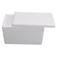 Boîte en mousse EPS Litchi, carton rectangulaire, boîte thermique pour la chaîne du froid, pour la conservation des fruits et légumes frais, pour l'e-commerce express