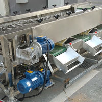 Automatische Fruitgroenteverwerkingsmachine Voor Sorteermachines Voor Het Sorteren Van Kersenformaat Sorteermachine