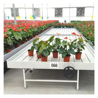 Table de culture à prix d'usine, grande taille, équipement agricole hydroponique pour serre, lit de culture mobile à roulettes pour fleurs et légumes