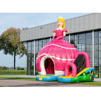 Grand videur gonflable de maison de videur de princesse, château plein d'entrain sautant extérieur avec la glissière à vendre