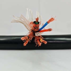 สายเคเบิลคอมพิวเตอร์หุ้ม PVC <span class=keywords><strong>10</strong></span>/12 แกน <span class=keywords><strong>0</strong></span>.2 มม.² ทองแดงตีเกลียว สำหรับคอมพิวเตอร์หลายระบบ PVC - Product Image 2