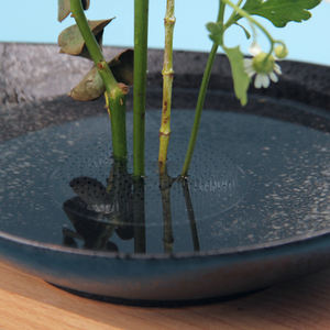 Kenzan Japonés <span class=keywords><strong>de</strong></span> Plástico <span class=keywords><strong>de</strong></span> 70 mm para Ikebana, Soporte Redondo para Flores con Logotipo Personalizado, Kit <span class=keywords><strong>de</strong></span> Inicio para Bonsái para Amantes <span class=keywords><strong>de</strong></span> las Flores - Product Image 3