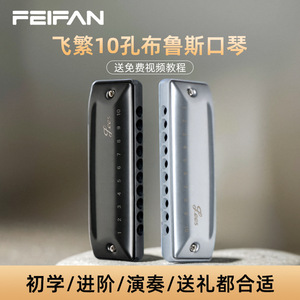 Armónica Blues Feifan de 10 Orificios, Armónica Diatónica Profesional para Principiantes, Instrumento Musical de Práctica - Product Image 3
