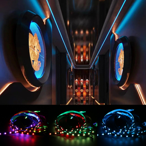 Luces de Fibra Óptica Ws2811, <span class=keywords><strong>Tira</strong></span> de <span class=keywords><strong>LED</strong></span> Blanca Programable Ws2811 para Exteriores de Edificios, Tiras <span class=keywords><strong>LED</strong></span> <span class=keywords><strong>RGB</strong></span> - Product Image 6