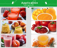 Passie Fruit Peeling Sap Extraheren Machine Passie Fruit Sapcentrifuge Machine