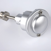 Sonda de Temperatura Industrial RTD PT100, Acero Inoxidable 316, Cabeza de Aluminio Impermeable, Termómetro de Resistencia WZP