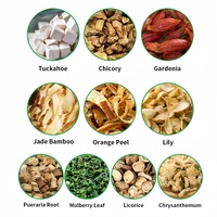 Tisane Détox Minceur aux Herbes de Chicorée et de Gardénia pour l'Acide Urique en Sachet
