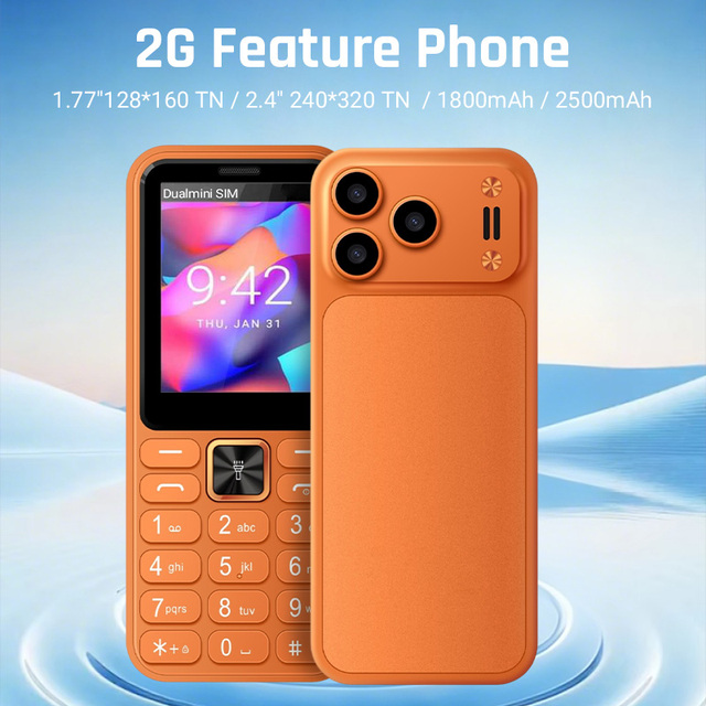 Dual SIM 2G Mobile Phone 2.4 Inch SC6531E 32MB Memory 2500mAh Battery Torch FM Radio TF Card Compact Feature Phone