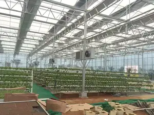 Large Multi Span Agriculture Glass Green House Glass Commercial Greenhouse