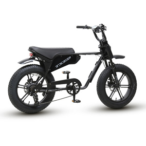 Potente Motor sin Escobillas de 750W para Motocicleta, Batería de 48V 13Ah, Neumáticos Anchos, Frenos de Disco Hidráulicos de Alto Rendimiento que Garantizan una Detención Confiable - Product Image 6