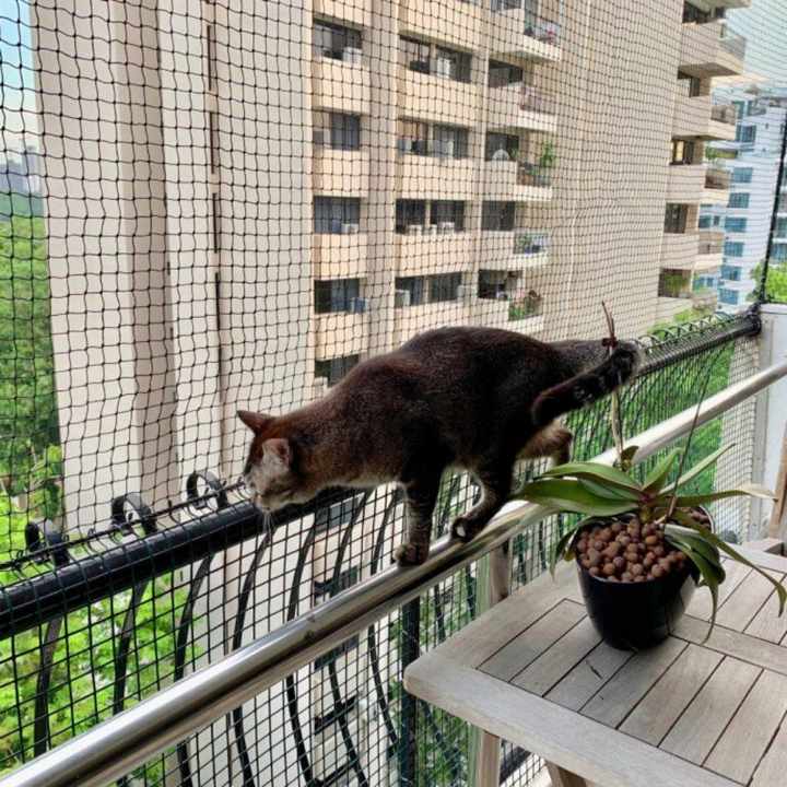 Rete Per Balcone Gatti 3x4 Metri - Maglia 3x3 Cm, Anti-UV, Con Kit Fissaggio - Sicurezza Per Animali