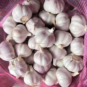 Chine <span class=keywords><strong>Ail</strong></span> blanc frais <span class=keywords><strong>Ail</strong></span> Ajo Alho Poudre <span class=keywords><strong>d</strong></span>'<span class=keywords><strong>ail</strong></span> Chine Fournisseurs <span class=keywords><strong>Afrique</strong></span> <span class=keywords><strong>du</strong></span> <span class=keywords><strong>Sud</strong></span> <span class=keywords><strong>Ail</strong></span> Légumes frais - Product Image 3