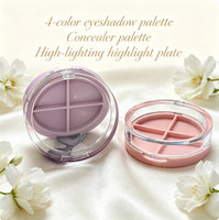 Palette de maquillage vide à 10 grilles avec couvercle transparent et base rose pour fard à paupières personnalisé et cosmétique