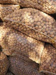 ISO22000มะนาวเหลืองอบแห้ง FD ได้รับการรับรองวัตถุดิบภายใต้การดูแลอย่างเข้มงวดจากฟาร์ม El ekhlas ในอียิปต์ - Product Image 6