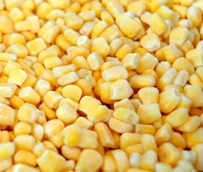 Buy Yellow And Sweet New Cultivation Organic And Fresh Frozen Iqf Corn Kernels