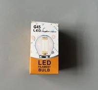 Dimmbare G45 DC24V E27 2WLED Lampe Klar PC Mini Ball Vintage Edison Birne