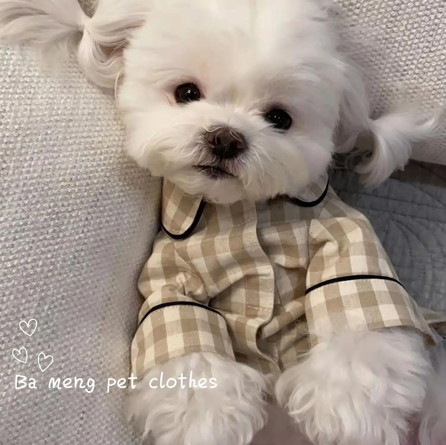 Spot Korean pet puppienal kitten dog Pet Dog Pajamas Comfortable Shirt for teddy Barnari Skunari Belomyosawa dog clothing