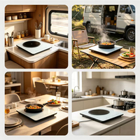 Cuisinière à induction électrique avec effet flamme, sans gaz, plaque de cuisson à induction électrique