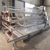 Cages à batterie automatiques de type A/H pour 5000-10000 poules pondeuses, 3-4 niveaux, avec système d'alimentation et d'évacuation des déjections