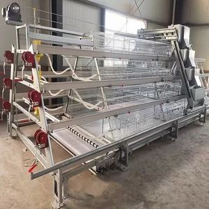 Jaula Automática Tipo A para Gallinas Ponedoras con Sistema de Alimentación y Eliminación de Estiércol - Product Image 1
