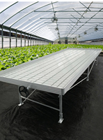 Banc de semis de pépinière banc roulant Agriculture croissance bancs de Table basse et reflux accessoires de plateau d'inondation hydroponique plastique ABS