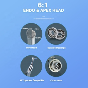 <span class=keywords><strong>Mini</strong></span> dental auto reverse Endo motor automático stop <span class=keywords><strong>Pro</strong></span> con localizador de ápice inalámbrico - Product Image 4