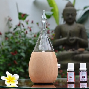 Großhandel Abschlepp kontrolle Wasserlose Glas Aroma therapie Verne blung Ätherisches Öl Diffusor Tragbarer Holz verne bler für Haushalt SPA - Product Image 6