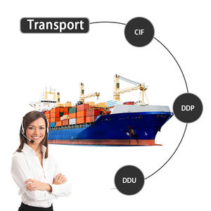 Transporteur de fret Agent maritime DDP porte à porte Chine vers Allemagne France Espagne Italie Pays-Bas <span class=keywords><strong>Portugal</strong></span> - Product Image 3