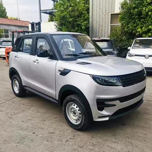 Mobil Mini Ev 2024 model terbaru kendaraan mobilitas cocok untuk dewasa untuk mobil listrik