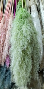 High Quality Wedding Decorative Green White Pampas Decor Large Fluffy Natural Dried Pampas Grass <strong>for</strong> <strong>Sale</strong> - Product Image 6