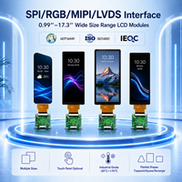 Wettbewerbsfähiger Preis 0,99-17,3 Zoll IPS-Bildschirmpanel 9,31 Zoll 600*1600 MIPI-Schnittstelle Kleines TFT-LCD-Anzeigemodul mit Treiberplatine