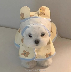 Imperméables pour chiens avec imprimé ours <span class=keywords><strong>de</strong></span> dessin animé, vêtements pour animaux <span class=keywords><strong>de</strong></span> compagnie imperméables avec capuche, manteau <span class=keywords><strong>de</strong></span> <span class=keywords><strong>pluie</strong></span> pour chien coloré - Product Image 4