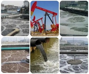 Qiaosun tinh khiết 95-14-7 Benzotriazole 100g AR độ tinh khiết cao 99.9% Rắn hóa chất tốt Thuốc thử - Product Image 6