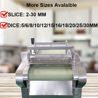 Machine Industrielle de Découpe en Dés pour Fruits Secs 220V 380V : Dattes, Figues, Mangues, Abricots, Prunes