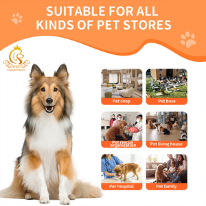 Séchoir automatique pour animaux de compagnie <span class=keywords><strong>EUR</strong></span> PET, armoire de séchage en plastique pour les gros chats et les chiens, salon de toilettage pour animaux de compagnie, prix bas - Product Image 4