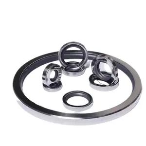 Double/Singel Air Compressor PTFE Coating Lip Rotary Shaft PTFE Lip Oil Seal Stainless Steel Oil Seal PTFE Oil Seal