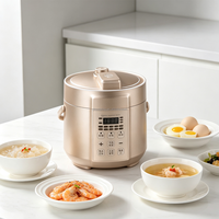 Mini-cuiseur à pression électrique 1,6 L compact multifonction pour la maison