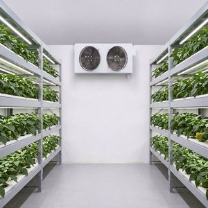 Chambre froide préfabriquée de bonne qualité pour la culture et la croissance des champignons - Product Image 5