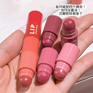 Lipstik Mini imut 4 dalam 1, Set lipstik Crayon Mini cocok untuk kosmetik wanita