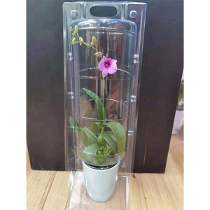 Phalaenopsis cây giống vận chuyển vật nuôi hộp 3.0/3.5 vỏ viên nang bao bì nổi hoa bảo vệ hộp nhựa cho dập - Product Image 5