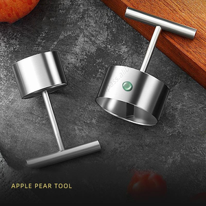 En gros DD1097 Outil à retirer le noyau de fruits en spirale, séparateur, dénoyauteur, moule à riz vapeur en acier inoxydable, outil à dénoyaouter les poires - Product Image 3