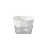 Pot de fleurs transparent auto-arrosant respirant pour bulbes, idéal pour la culture hydroponique de tulipes, lys et jacinthes
