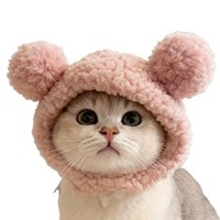 Chapeau de déguisement en peluche douce pour animaux de compagnie, motif dessin animé, chaud pour l'hiver, pour chats et petits chiens, idéal pour Halloween