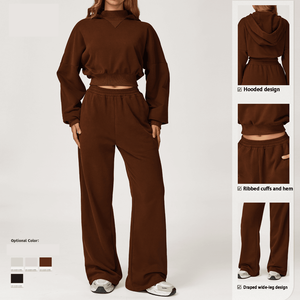 Nuovo autunno/inverno felpa con cappuccio <span class=keywords><strong>Casual</strong></span> Outdoor ampio-Fit Versatile Set <span class=keywords><strong>abbigliamento</strong></span> <span class=keywords><strong>sportivo</strong></span> da corsa per il tempo libero da <span class=keywords><strong>donna</strong></span> - Product Image 2