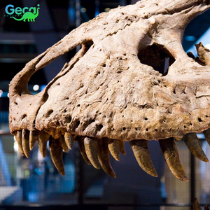 Gecai Museum Real Dinosaur <span class=keywords><strong>Fossil</strong></span> Bones Life Size <span class=keywords><strong>esqueleto</strong></span> de dinosaurio robótico para la venta - Product Image 6