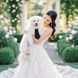 Pañuelo Clásico de Algodón para Perro, Cierre de Velcro, Tallas XS-XL, MOQ 200, Color/Logotipo Personalizado, Navidad, Verano, Invierno - Product Image 5