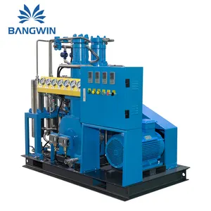 Bangwin Factory Price Industrial Hospital 20Mpa Liquid Nitrogen Oxygen Gas Compressor Booster Machine